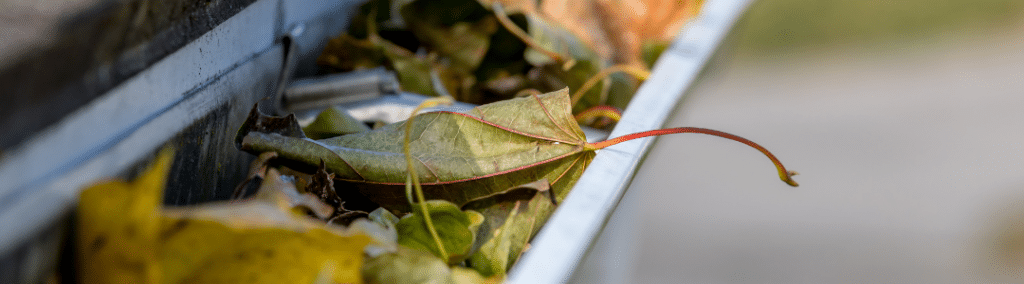 Close up of leaves in a gutter on the roof of a house