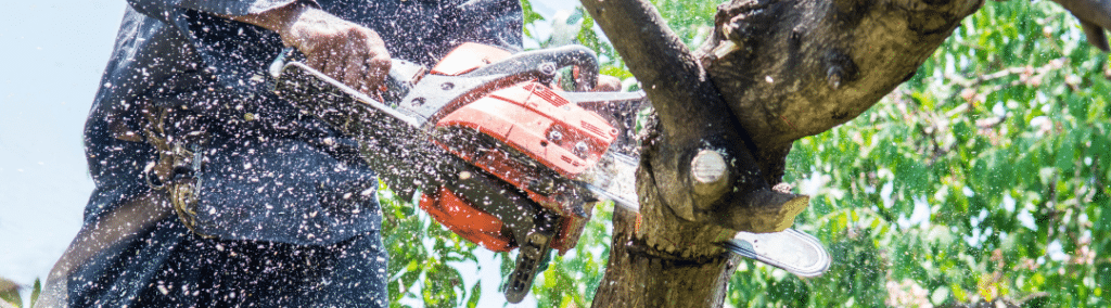 Close up of a man sawing down some limbs on a tree to protect his roof