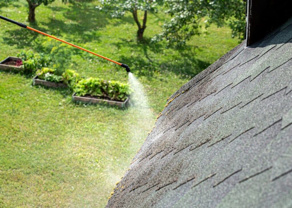 roof cleaning