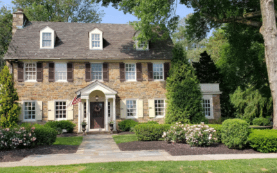 Tree Maintenance to Keep Your Roof & Home Safe