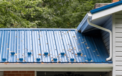 How to Spot Signs of Gutter Damage in the Spring
