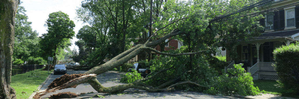 A fallen down tree covering the road laying on power lines close to a house