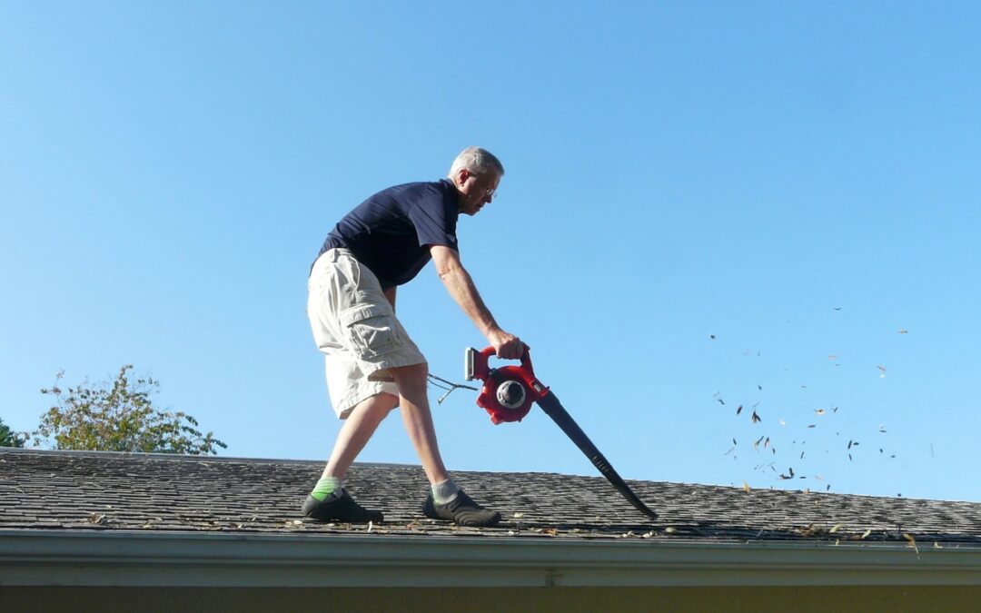 Roof Cleaning: DIY Tips for Handy Homeowners