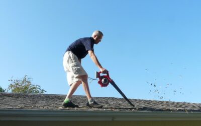Roof Cleaning: DIY Tips for Handy Homeowners