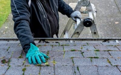 7 Roof Maintenance Tips for Handy Homeowners